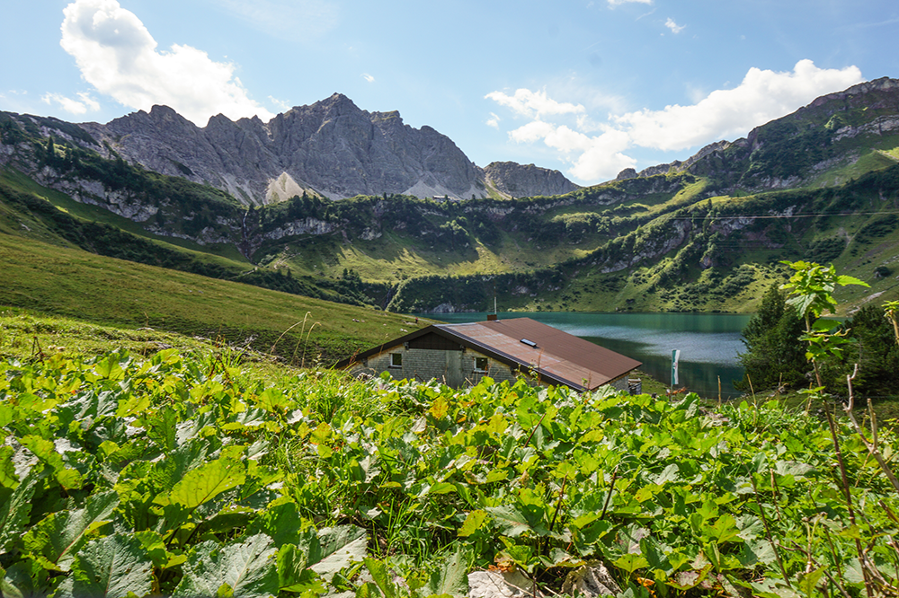 Traualpe Bergschön