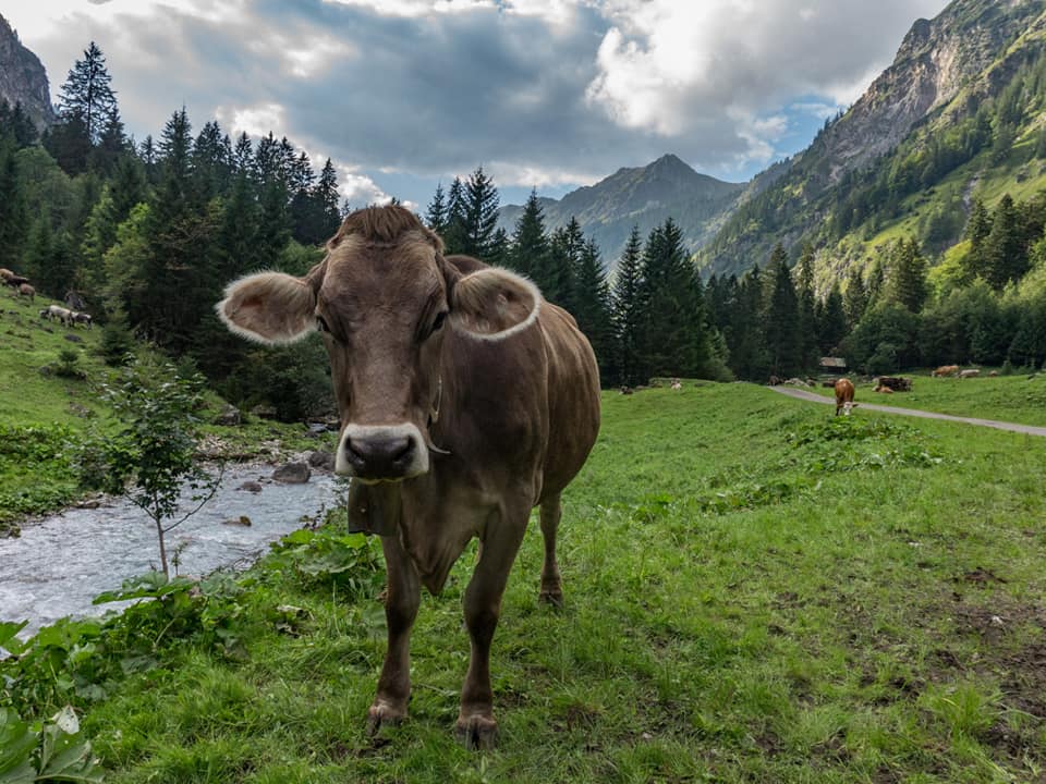 enzianhuette bergschön fraubergschön