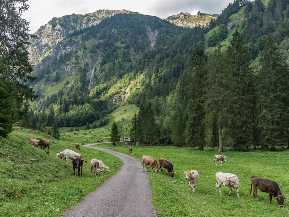 enzianhuette bergschön fraubergschön