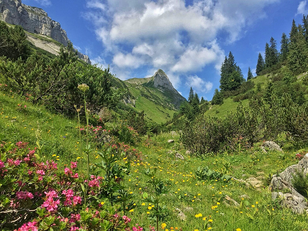 Frau Bergschön Kleinwalsertal Gottesacker Platteau Bergwanderung Ausblick