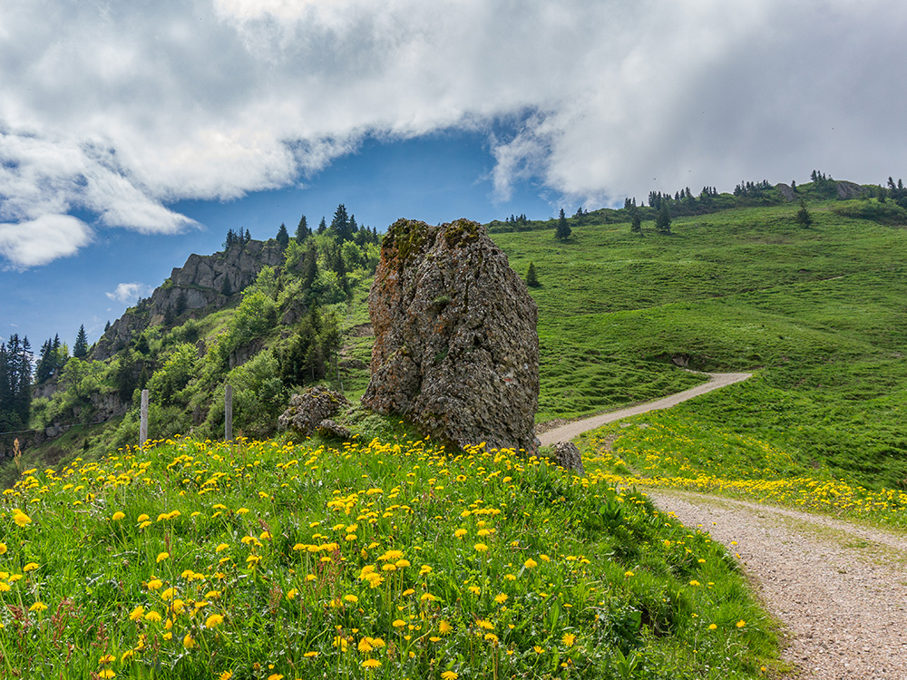 Frau Bergschön Steigbachtal Bergtour