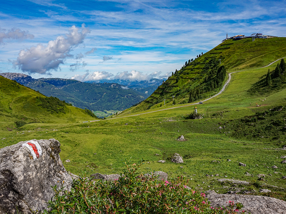 Frau Bergschön Kanzelwand Kuhgehrenalpe