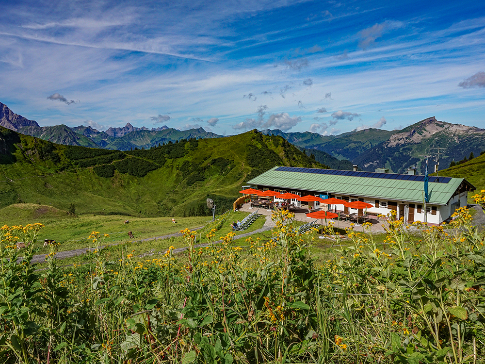 Frau Bergschön Kanzelwand Kuhgehrenalpe