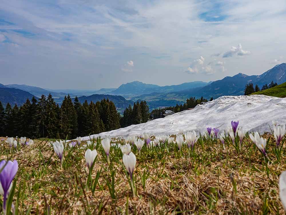 Frau Bergschön Söllereck Bergbahnen Oberstdorf