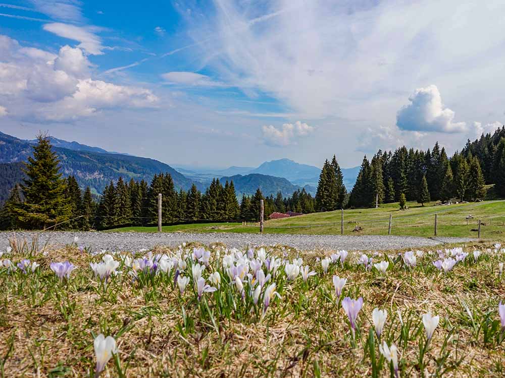 Frau Bergschön Söllereck Bergbahnen Oberstdorf