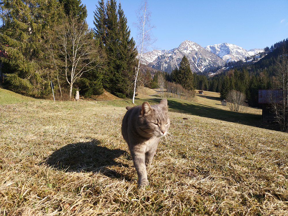 Frau Bergschön Allgäu Kleinwalsertal Tannheimer Tal