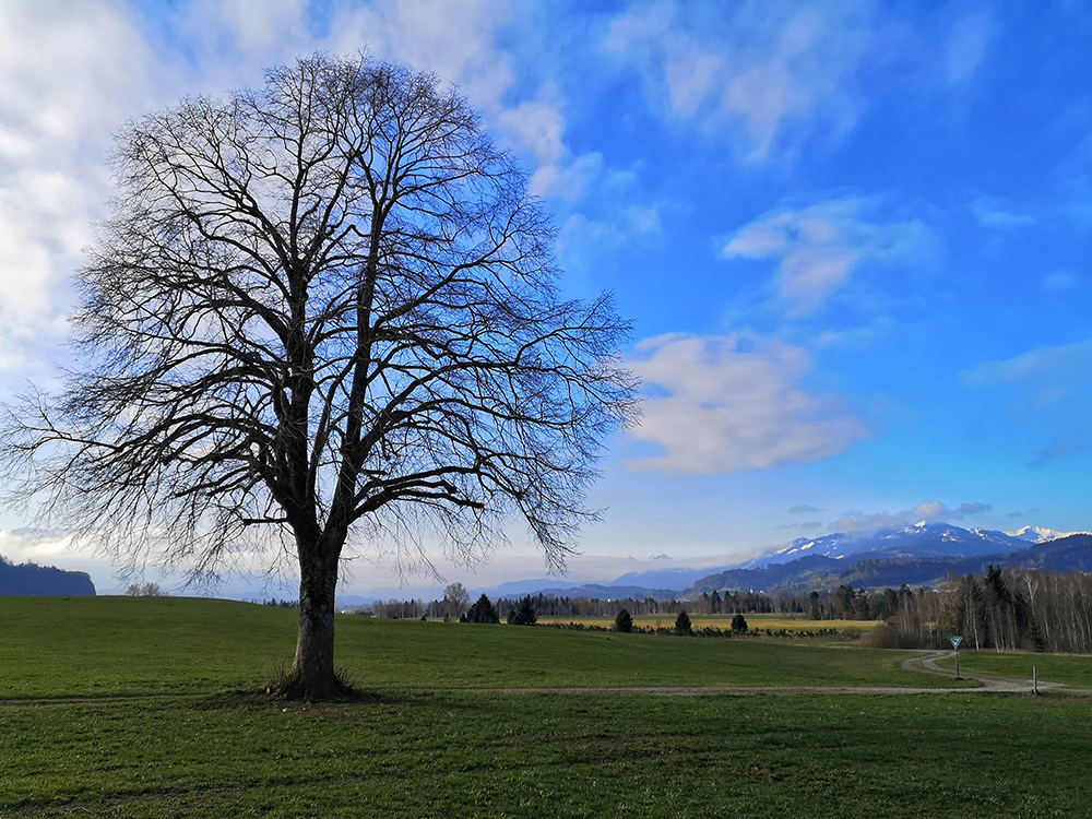 Frau Bergschön Allgäu Kleinwalsertal Tannheimer Tal