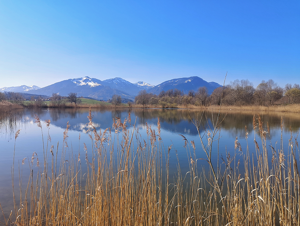 Frau Bergschön Allgäu Kleinwalsertal Tannheimer Tal