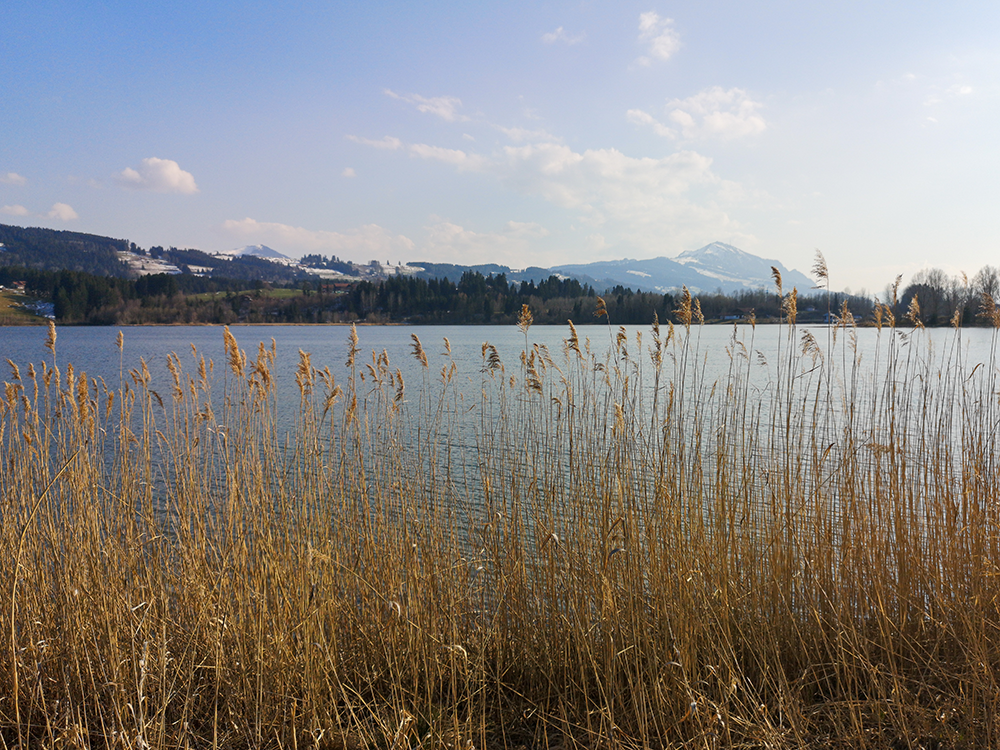 Frau Bergschön Allgäu Kleinwalsertal Tannheimer Tal