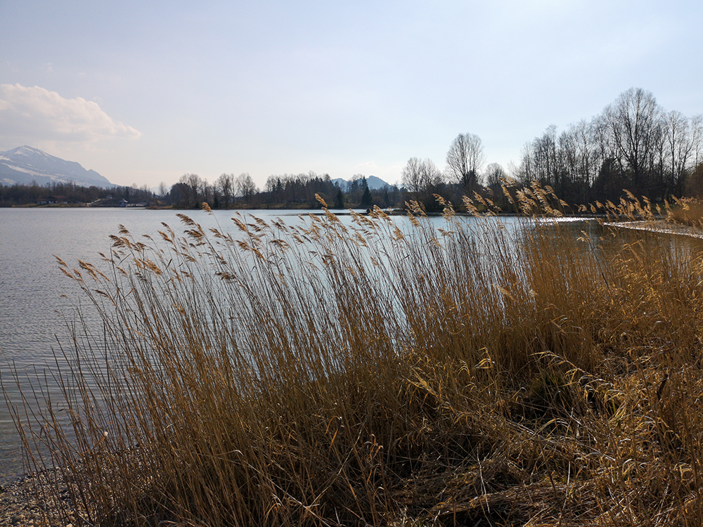 Frau Bergschön Allgäu Kleinwalsertal Tannheimer Tal