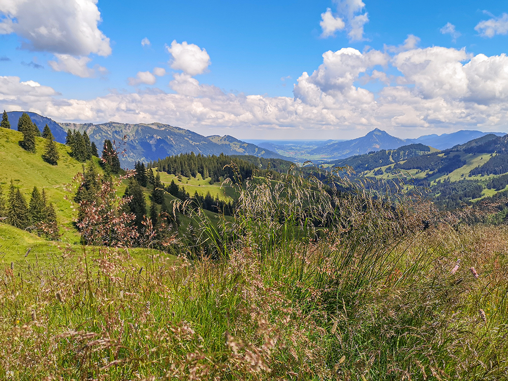 Frau Bergschoen Oytal Alpgenuss Gunzesriedertal Höllritzereck