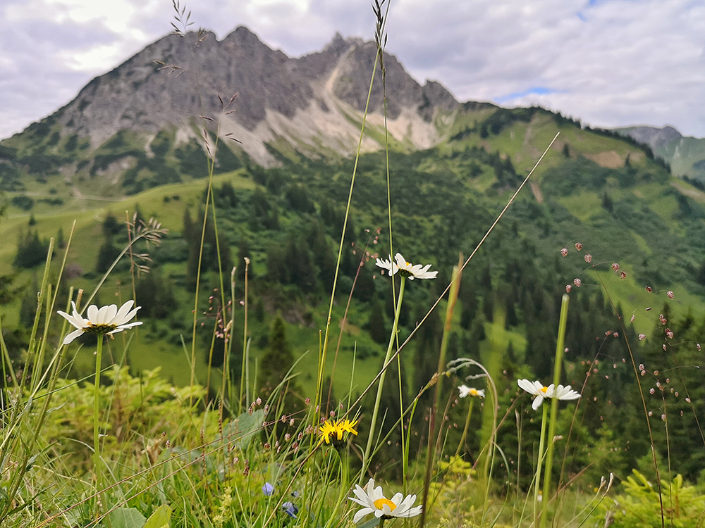 Frau Bergschoen Tannheimer Tal Nesselwängle Krinnenalpe
