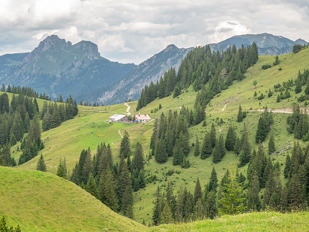 Frau Bergschoen Tannheimer Tal Nesselwängle Krinnenalpe