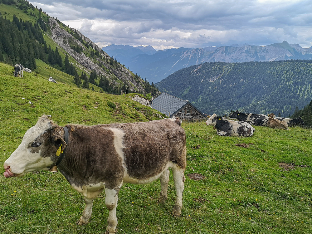 Frau Bergschoen Tannheimer Tal Nesselwängle Krinnenalpe