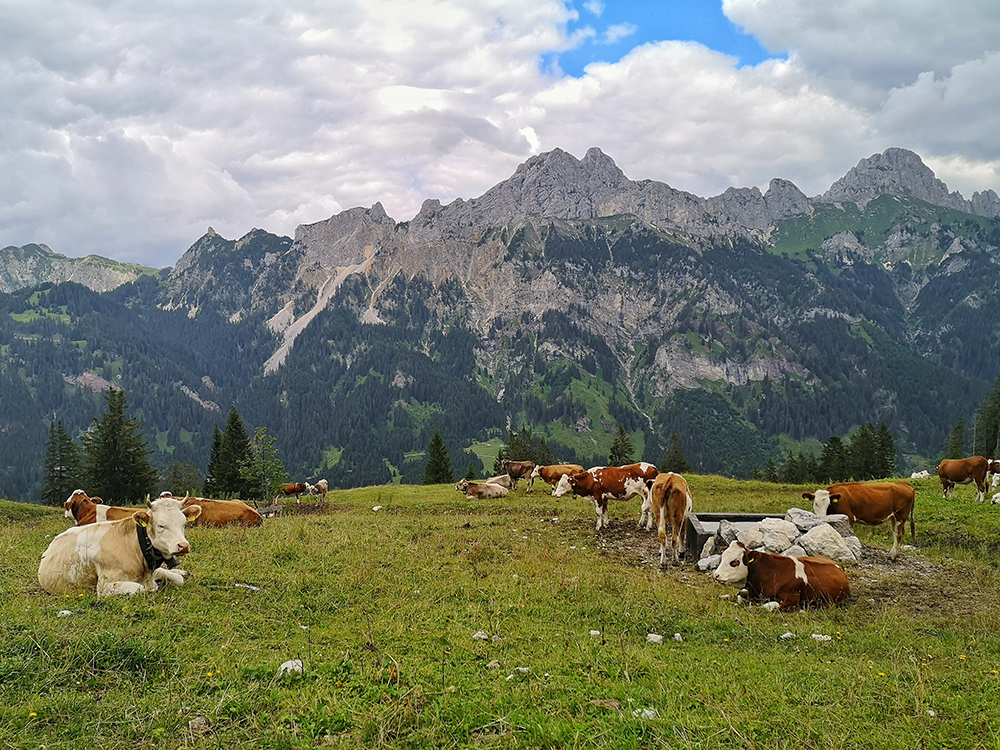 Frau Bergschoen Tannheimer Tal Nesselwängle Krinnenalpe