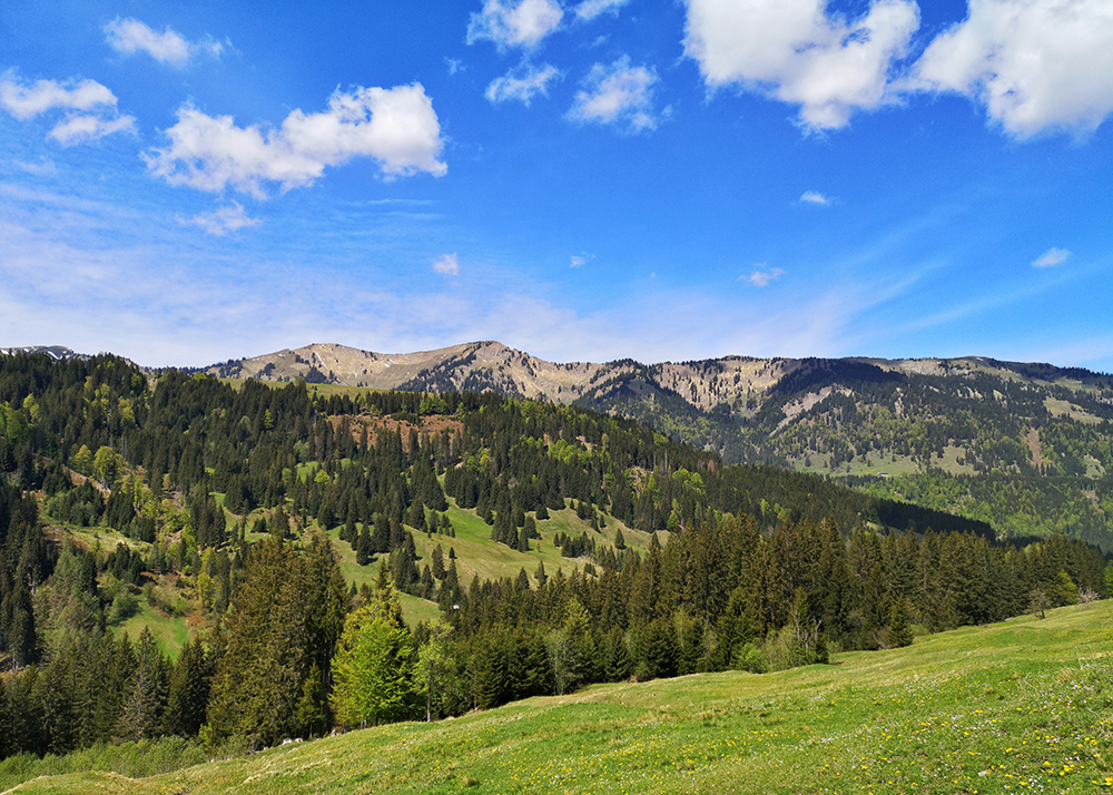 Frau Bergschoen Ostertal Gunzesried
