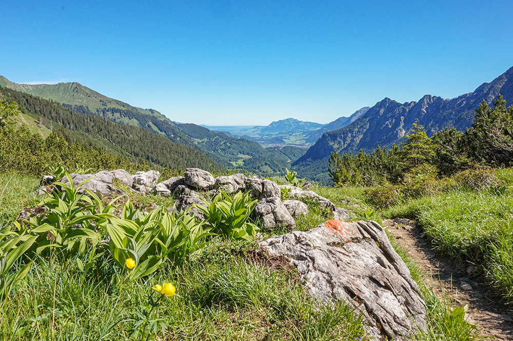 Frau Bergschoen Rappenalptal