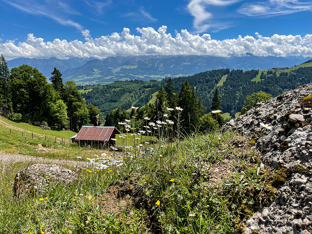Krumbach Alpe Vorder alpe Bergschön bergschon Allgäu allgau